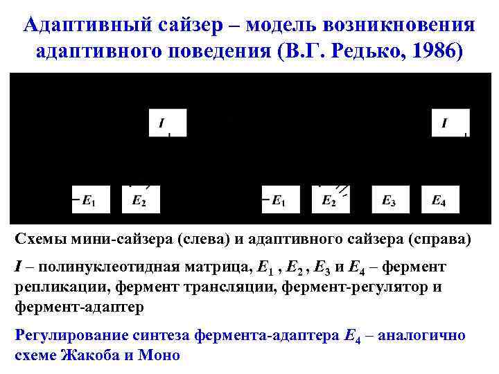 Адаптивный сайзер – модель возникновения адаптивного поведения (В. Г. Редько, 1986) Схемы мини-сайзера (слева)