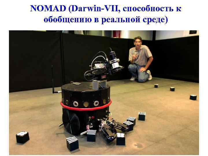NOMAD (Darwin-VII, способность к обобщению в реальной среде) 