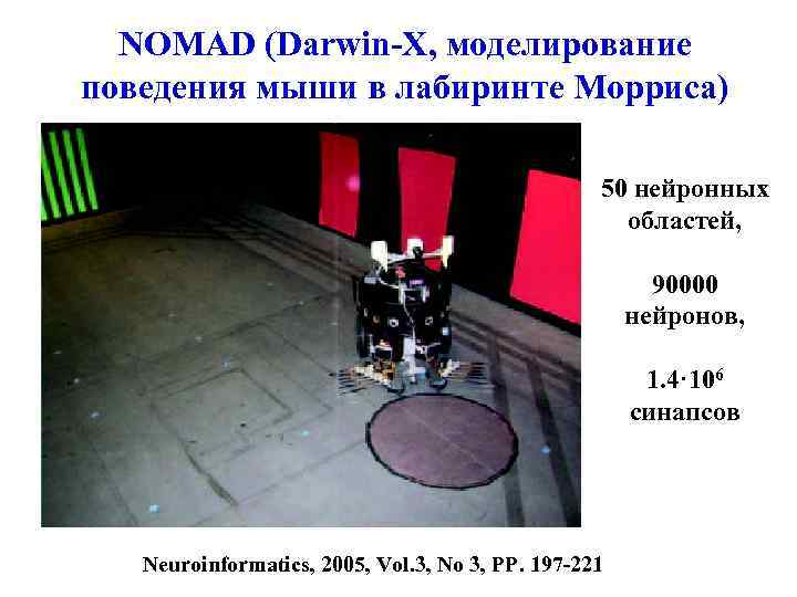 NOMAD (Darwin-X, моделирование поведения мыши в лабиринте Морриса) 50 нейронных областей, 90000 нейронов, 1.