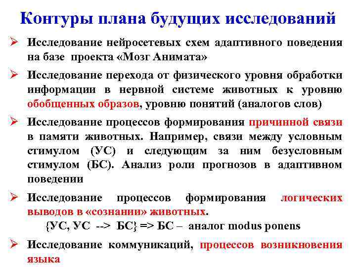 Контуры плана будущих исследований Ø Исследование нейросетевых схем адаптивного поведения на базе проекта «Мозг