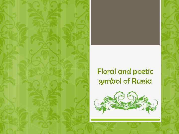 Floral and poetic symbol of Russia 