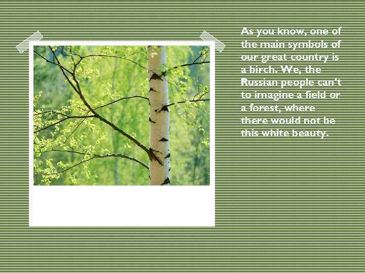 As you know, one of the main symbols of our great country is a