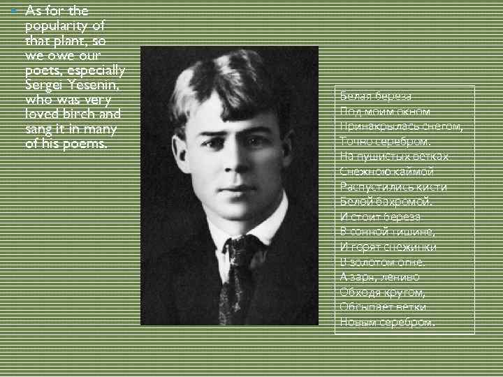  As for the popularity of that plant, so we our poets, especially Sergei