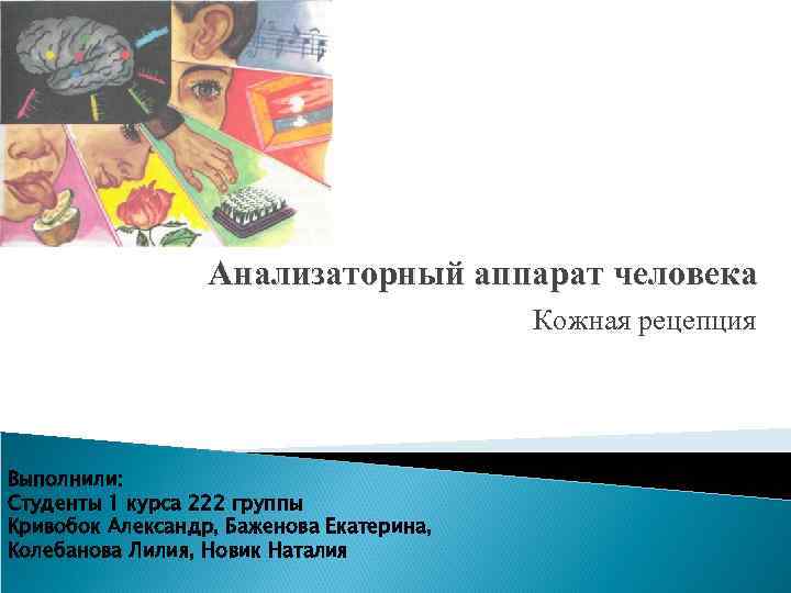 Анализаторный аппарат человека Кожная рецепция Выполнили: Студенты 1 курса 222 группы Кривобок Александр, Баженова