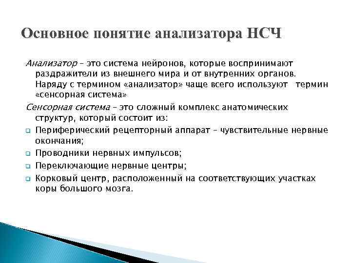 Основное понятие анализатора НСЧ Анализатор – это система нейронов, которые воспринимают раздражители из внешнего