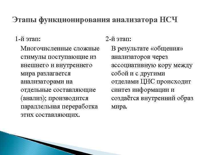 Этапы функционирования анализатора НСЧ 2 -й этап: 1 -й этап: Многочисленные сложные В результате