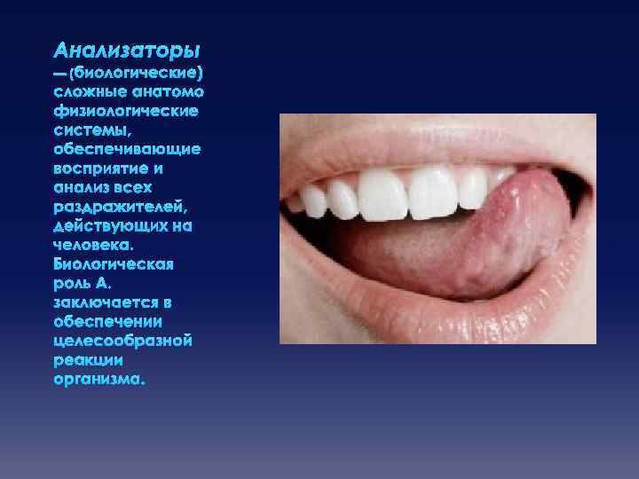 Анализаторы — (биологические) сложные анатомо физиологические системы, обеспечивающие восприятие и анализ всех раздражителей, действующих