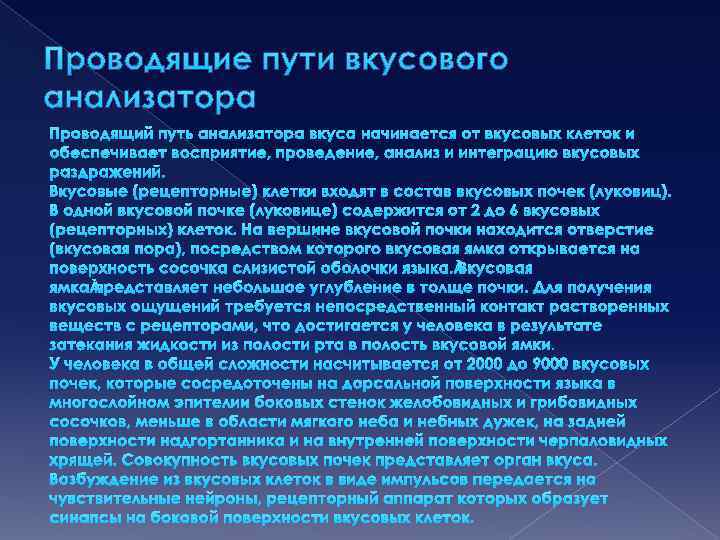 Проводящие пути вкусового анализатора Проводящий путь анализатора вкуса начинается от вкусовых клеток и обеспечивает