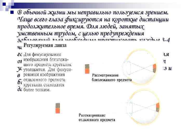 n В обычной жизни мы неправильно пользуемся зрением. Чаще всего глаза фиксируются на короткие