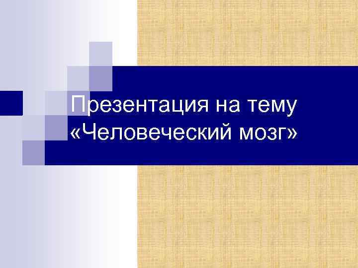 Презентация на тему «Человеческий мозг» 