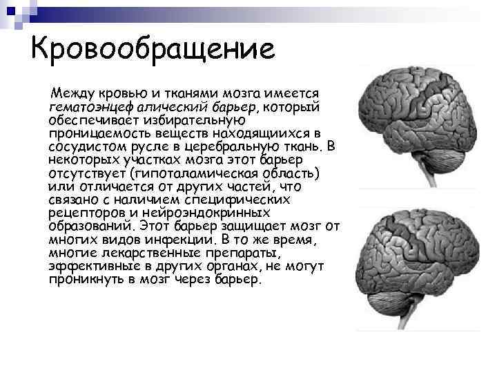 Кровообращение Между кровью и тканями мозга имеется гематоэнцефалический барьер, который обеспечивает избирательную проницаемость веществ