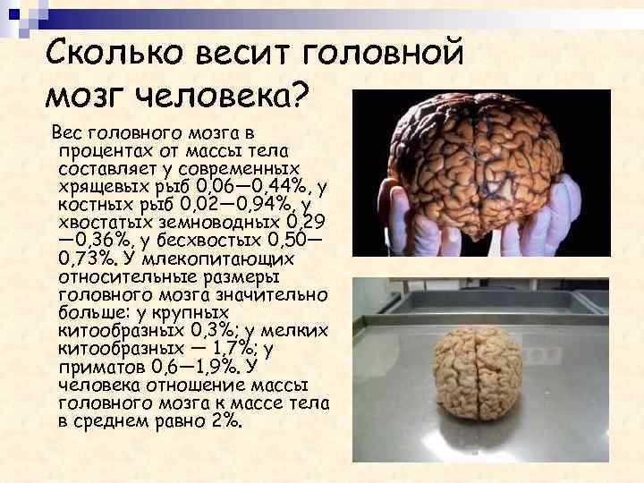 Сколько действует энцефалограмма головного мозга для медкомиссии на работу