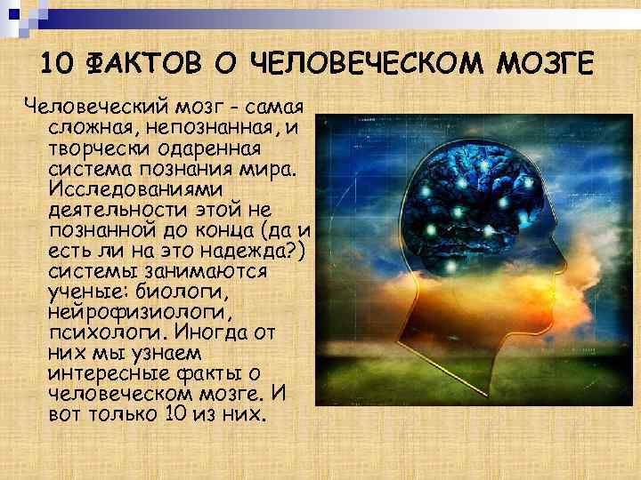 10 ФАКТОВ О ЧЕЛОВЕЧЕСКОМ МОЗГЕ Человеческий мозг - самая сложная, непознанная, и творчески одаренная