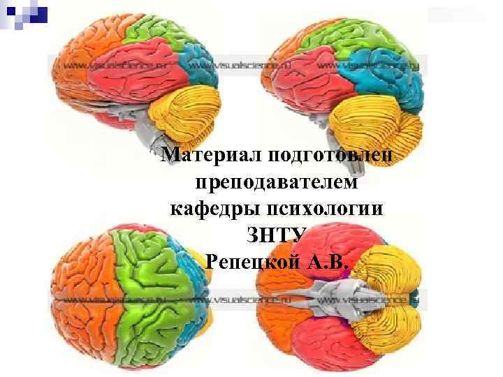 Материал подготовлен преподавателем кафедры психологии ЗНТУ Репецкой А. В. 