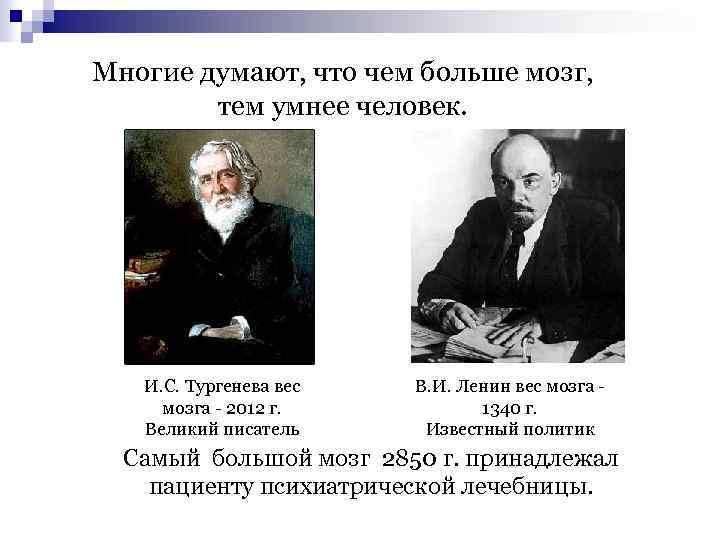 Многие думают, что чем больше мозг, тем умнее человек. И. С. Тургенева вес мозга