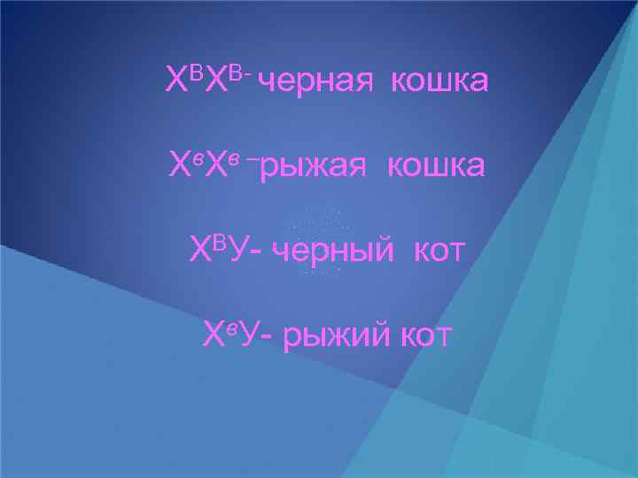 ХВХВ- черная кошка Хв. Хв –рыжая кошка ХВУ- черный кот Хв. У- рыжий кот