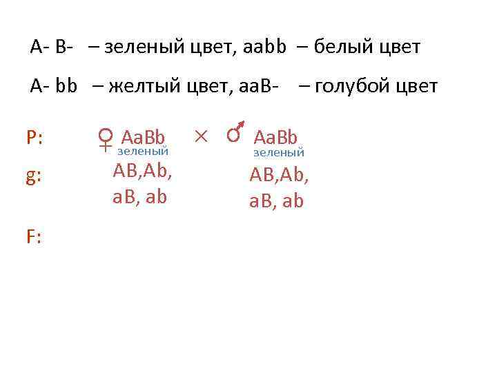 A B – зеленый цвет, aаbb – белый цвет А bb – желтый цвет,