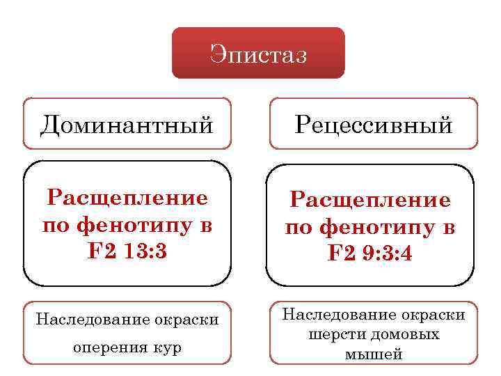 Эпистаз Доминантный Рецессивный Расщепление по фенотипу в F 2 13: 3 Расщепление по фенотипу