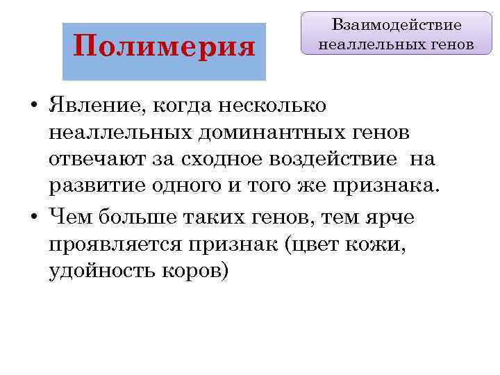 Полимерия Взаимодействие неаллельных генов • Явление, когда несколько неаллельных доминантных генов отвечают за сходное