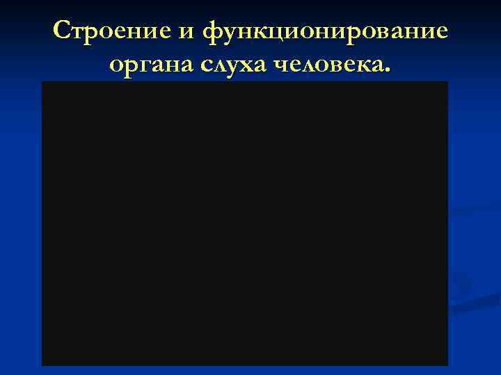 Строение и функционирование органа слуха человека. 