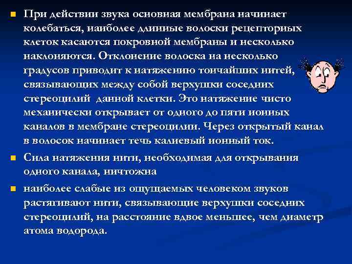 n n n При действии звука основная мембрана начинает колебаться, наиболее длинные волоски рецепторных