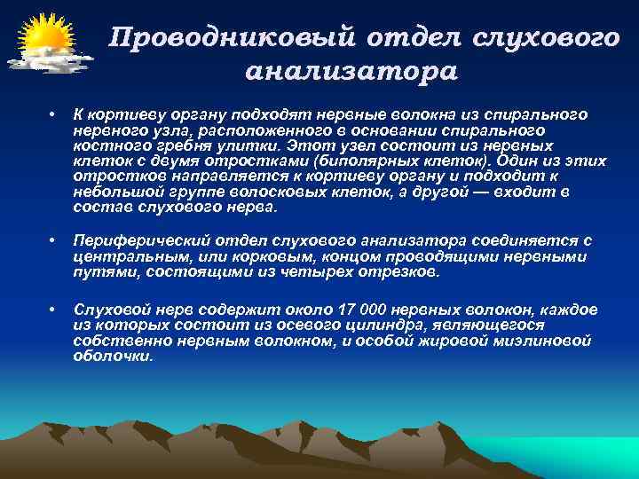 Проводниковый отдел слухового анализатора • К кортиеву органу подходят нервные волокна из спирального нервного