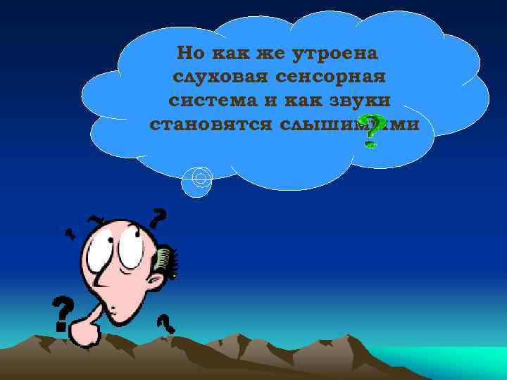 Но как же утроена слуховая сенсорная система и как звуки становятся слышимыми 