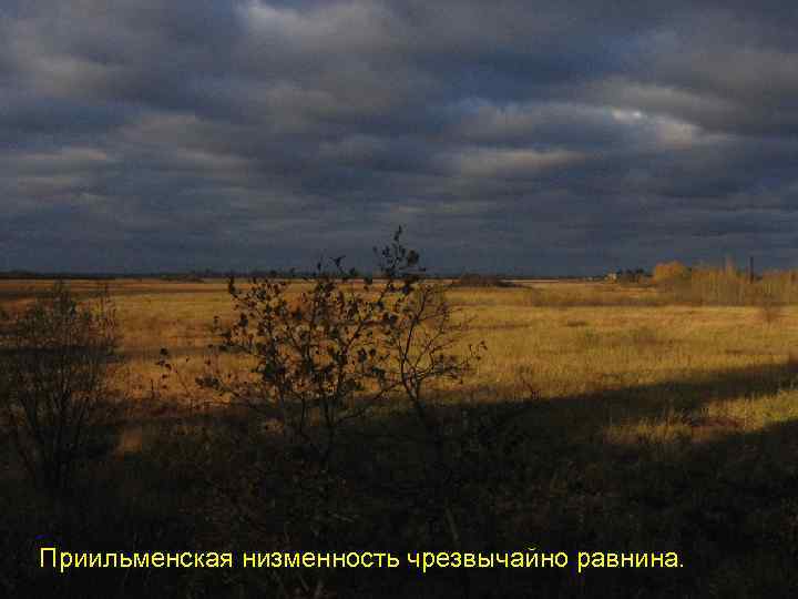 Приильменская низменность чрезвычайно равнина. 