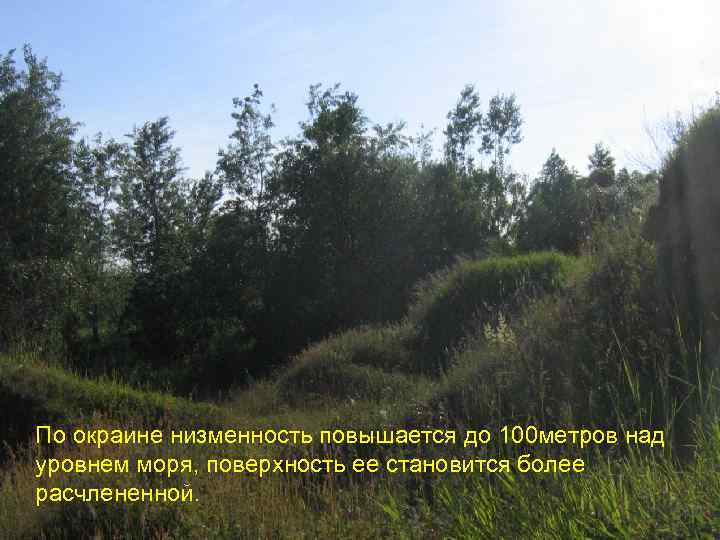 По окраине низменность повышается до 100 метров над уровнем моря, поверхность ее становится более