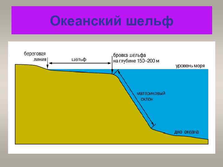 Континентальный рельеф. Шельф ложе. Континентальный шельф мирового океана. Шельф и материковый склон. Дно океана шельф.