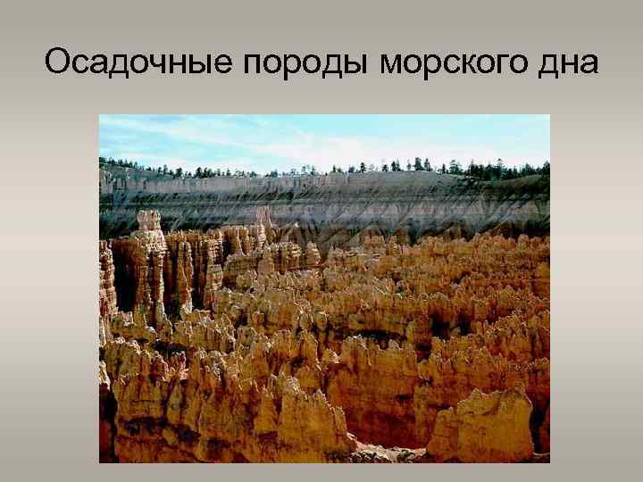 Осадочные породы морского дна 