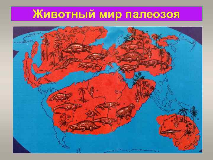 Животный мир палеозоя 