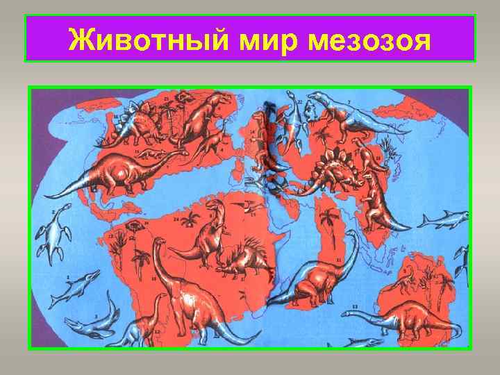 Животный мир мезозоя 