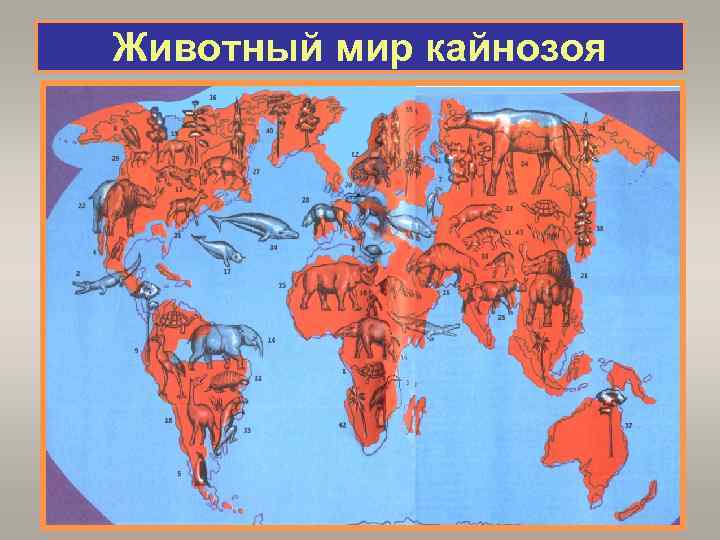 Животный мир кайнозоя 