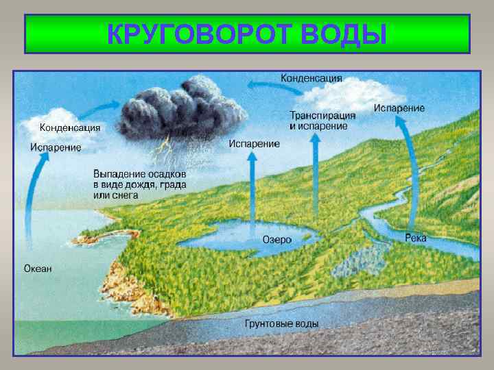 КРУГОВОРОТ ВОДЫ 
