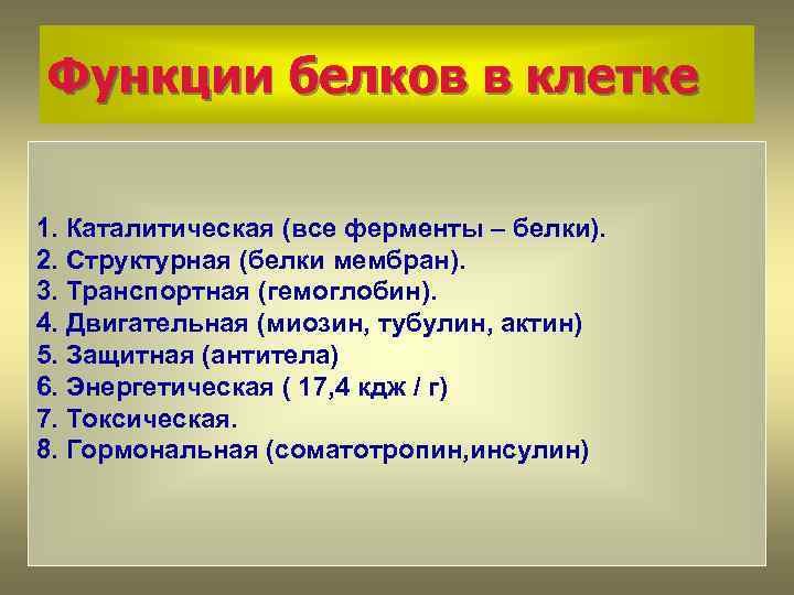 Функции белков в клетке 1. Каталитическая (все ферменты – белки). 2. Структурная (белки мембран).