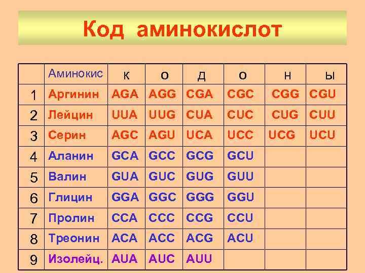 Код аминокислот Аминокис 1 2 3 4 5 6 7 8 9 к о
