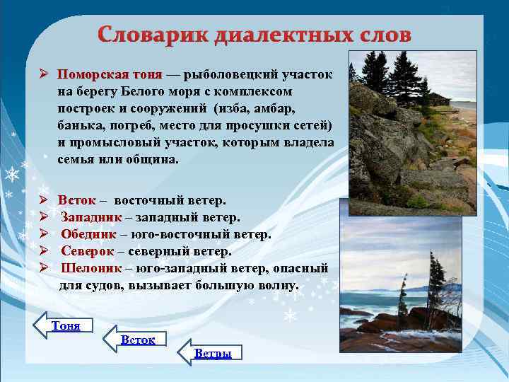 Словарик диалектных слов Ø Поморская тоня — рыболовецкий участок на берегу Белого моря с