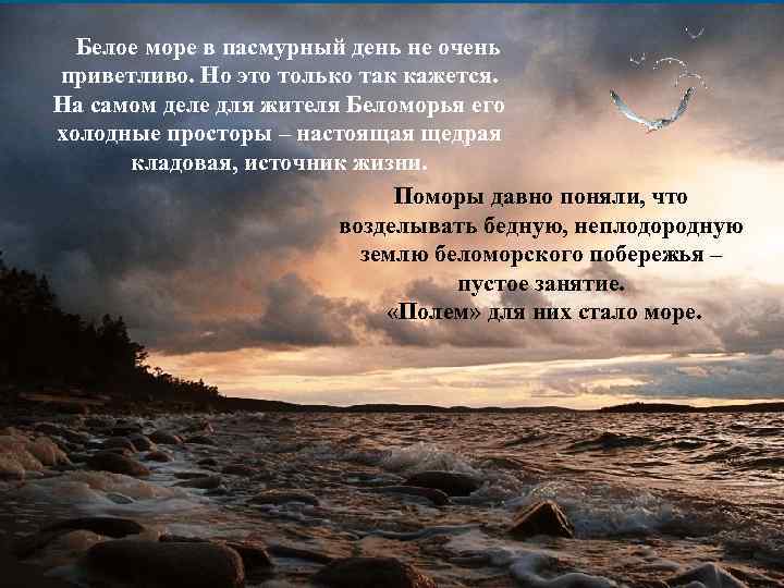 . Белое море в пасмурный день не очень приветливо. Но это только так кажется.