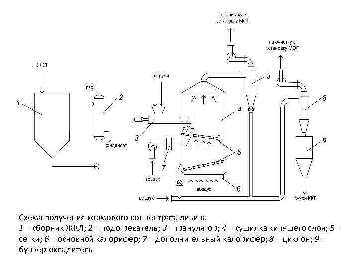 Технологическая схема лизина