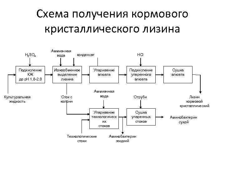 Технологическая схема производства лизина