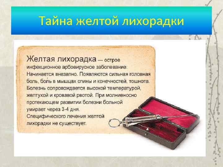 Тайна желтой лихорадки 