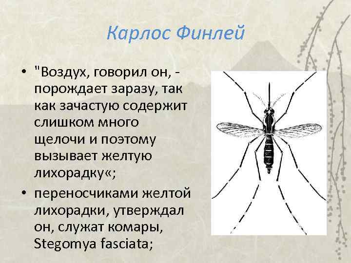 Карлос Финлей • "Воздух, говорил он, порождает заразу, так как зачастую содержит слишком много