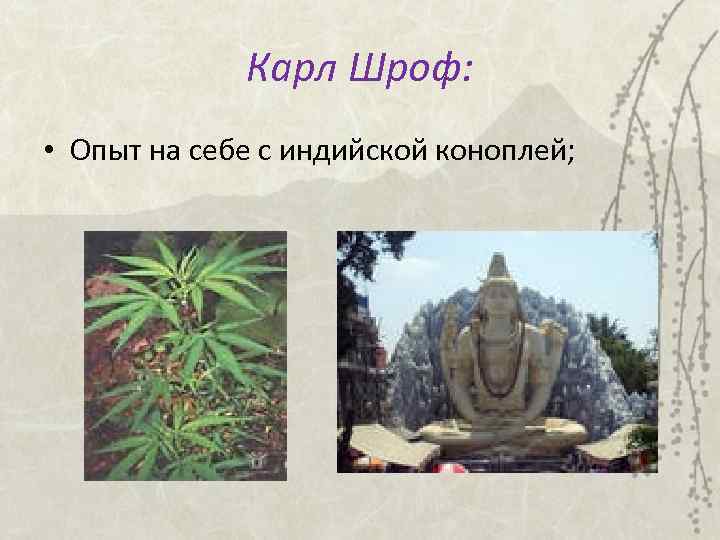 Карл Шроф: • Опыт на себе с индийской коноплей; 