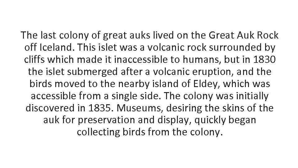 The last colony of great auks lived on the Great Auk Rock off Iceland.