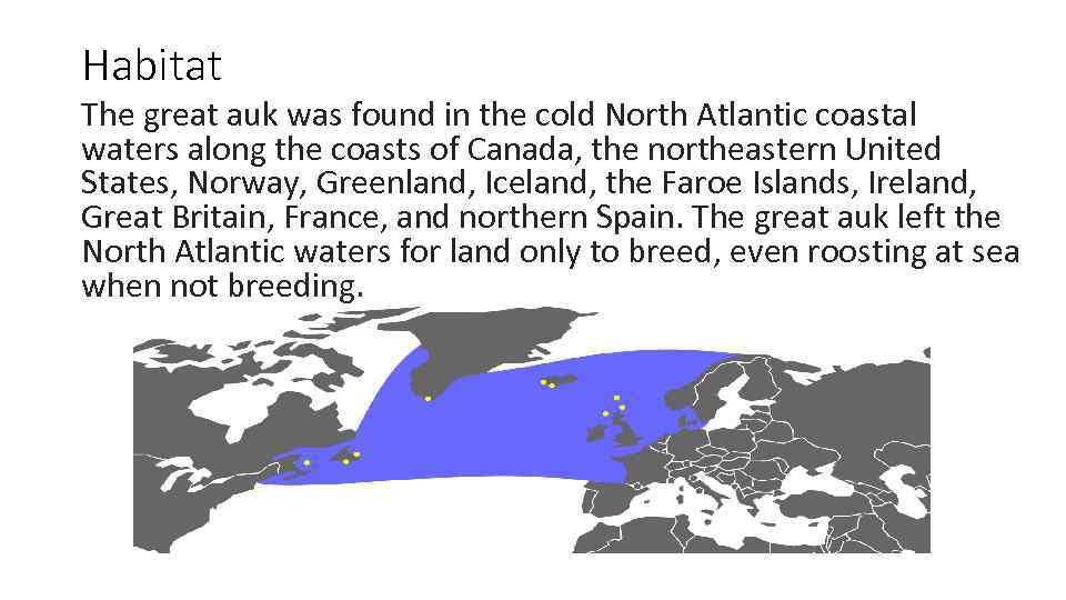 Habitat The great auk was found in the cold North Atlantic coastal waters along