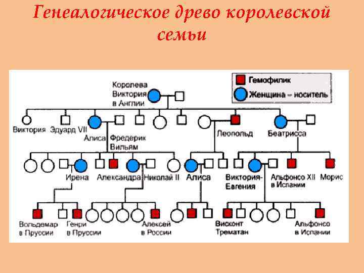 Генеалогическое древо королевской семьи 