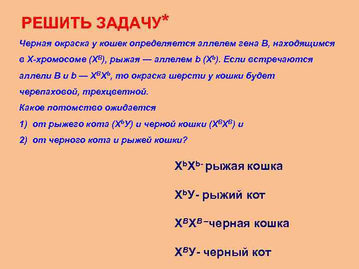 РЕШИТЬ ЗАДАЧУ* Черная окраска у кошек определяется аллелем гена В, находящимся в Х-хромосоме (XВ),
