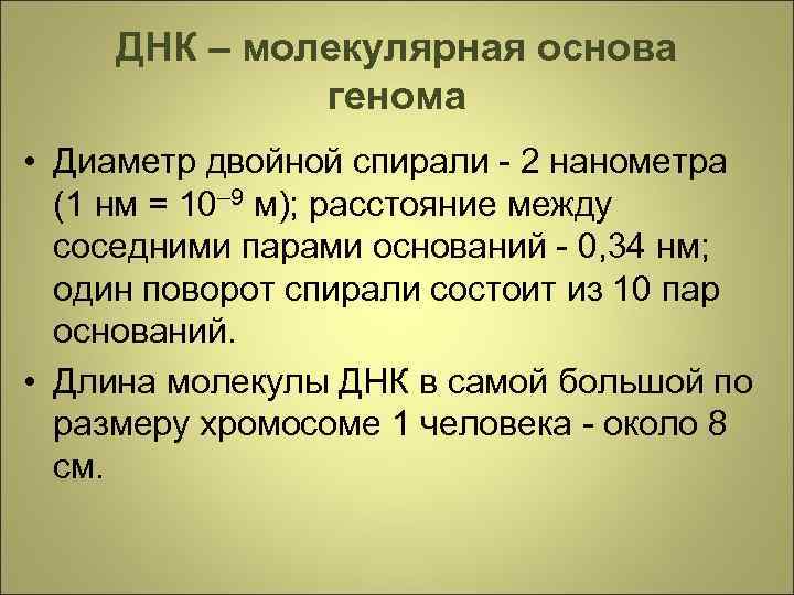 ДНК – молекулярная основа генома • Диаметр двойной спирали - 2 нанометра (1 нм