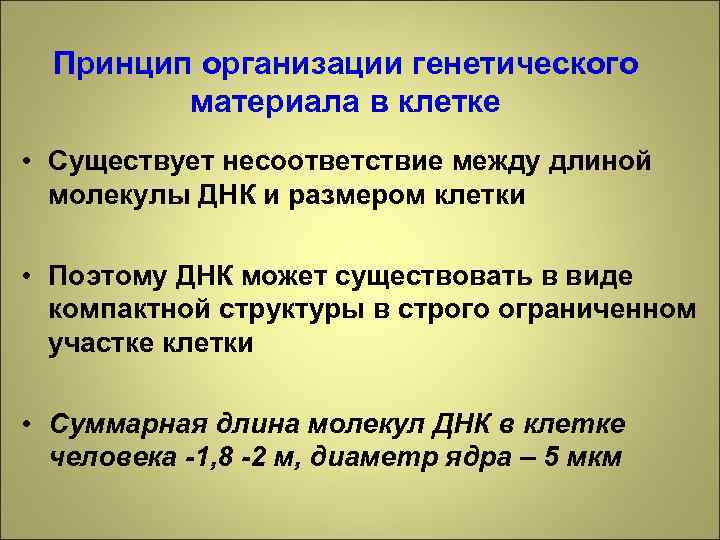 Принцип организации генетического материала в клетке • Существует несоответствие между длиной молекулы ДНК и